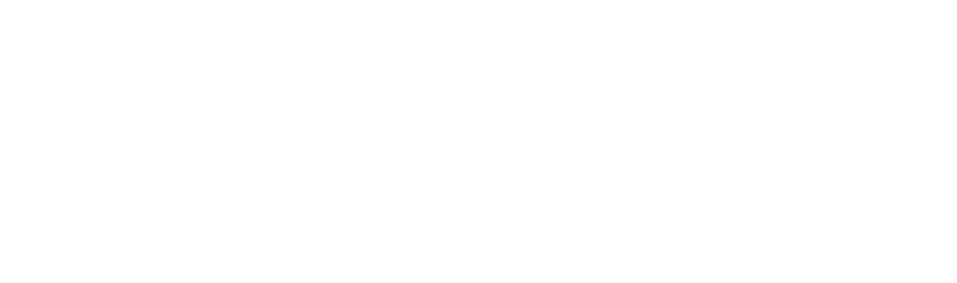 UMSAPP
